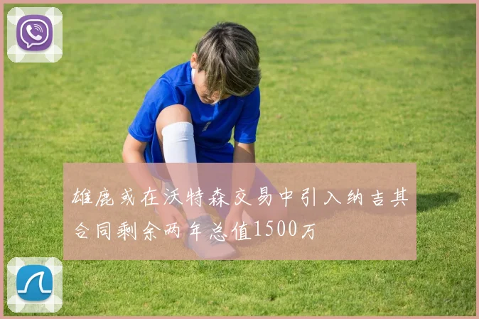 雄鹿或在沃特森交易中引入纳吉其合同剩余两年总值1500万